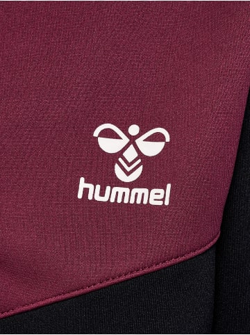 Hummel Hummel Sweatshirt Hmlmolin Unisex Kinder in CAVIAR/CRUSHED VIOLETS