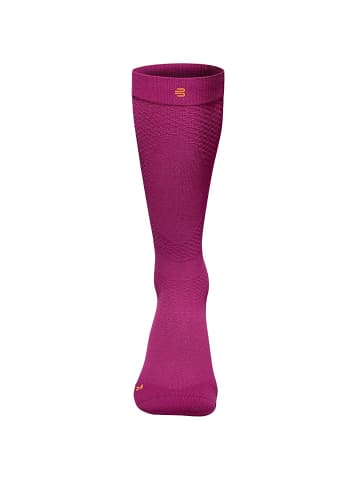 Bauerfeind W RUN ULTRALIGHT COMPRESSISOCKS in Beere