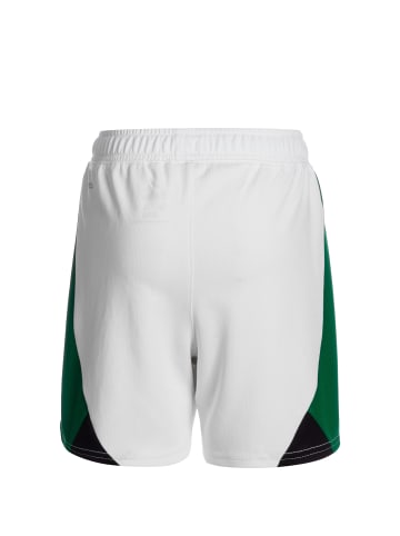 Puma Trainingsshorts Borussia Mönchengladbach Replica in weiß / grün