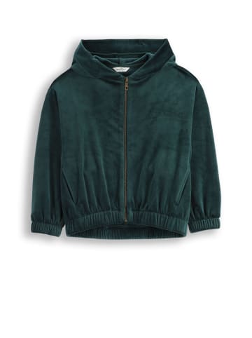Coccodrillo Veloursjacke mit Reißverschluss in grün