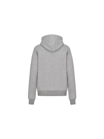 Dior Icon Hooded Sweatshirt Grau