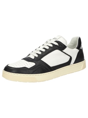 Sioux Sneaker Tedroso-704 in mehrfarbig