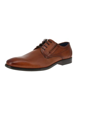 Bugatti Schnuerschuhe Savio Evo  in Braun