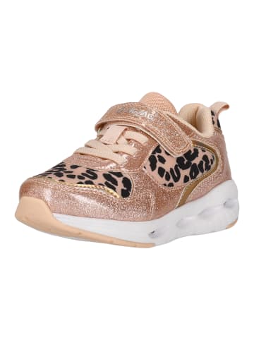 Zigzag Sneaker Certiny in 4099 Misty Rose