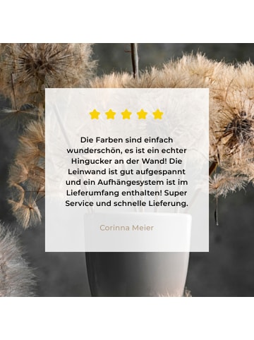 MuchoWow Leinwand bilder Löwenzahn (BxH)