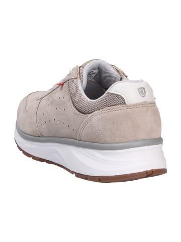 Joya SchnĆ¼rschuh DYNAMO CLASSIC W BEIGE in beige