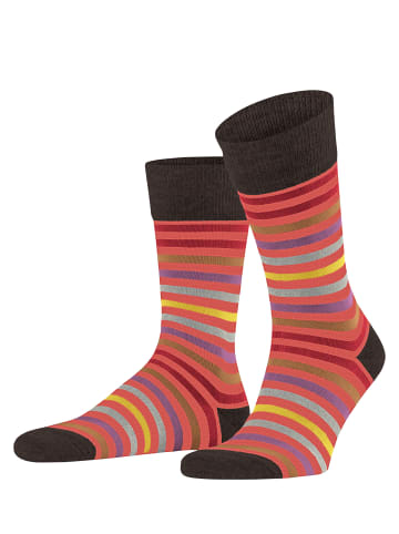 Falke Socken Tinted Stripe in Orange