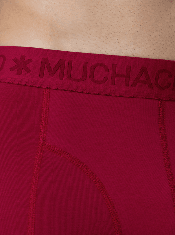 Muchachomalo 4er-Set: Boxershort in Mehrfarbig - für Herren