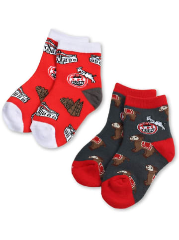 Fußballverein 1. FC Köln Kinder Socken "Kindersocken Jecke Söck 2er Paar" in Multicolor