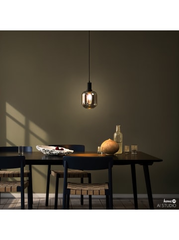 home24 home24 1-flammige Pendelleuchte aus Rauchglas und Eisen im modernen Stil in Schwarz