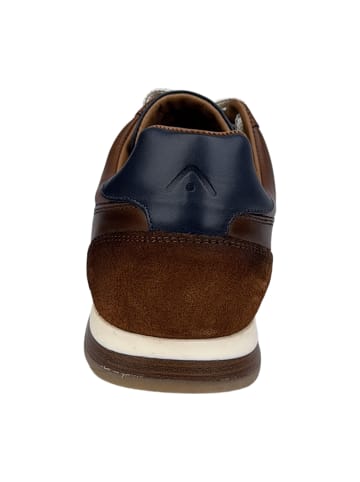 Ambitious Klassische Schnürschuhe in Braun