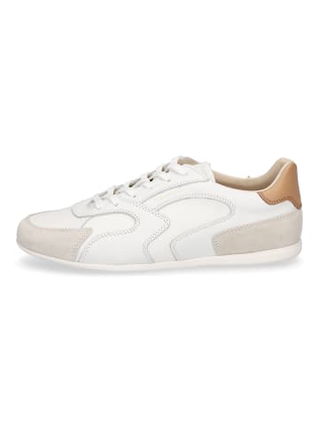 GANT Footwear Sneaker Sperly in Weiß