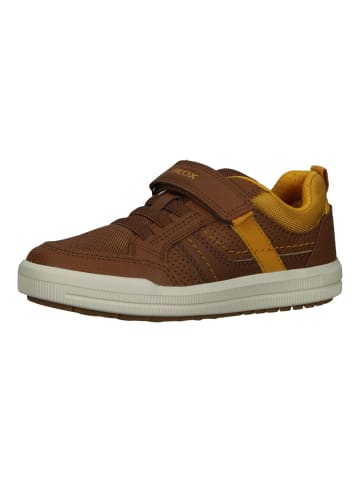 Geox Sneaker in Cognac