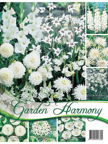 MeinVIPShop Blumenzwiebel Mischung Weißer Garten 50 Stück