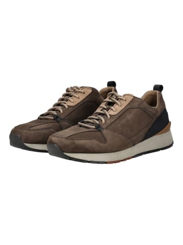 Pius Gabor Sneaker in Mocca