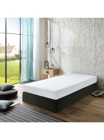 Erwin Müller Single-Jersey Spannbettlaken kochfest Straubing in weiß