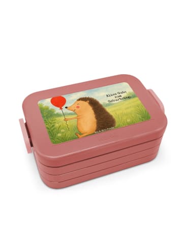 Mr. & Mrs. Panda Brotdose Igel Luftballon Design mit Spruch in Rot Pastell