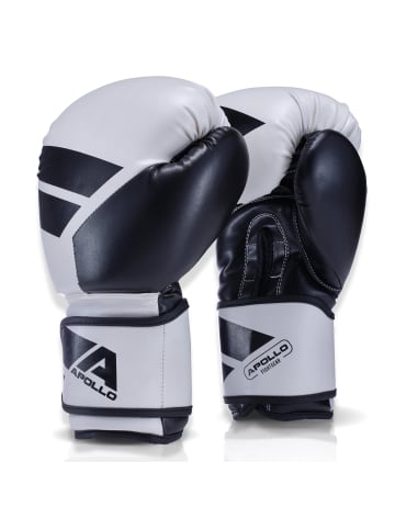 Apollo Boxhandschuhe Männer " Champion Thai Box Handschuhe " in Punch