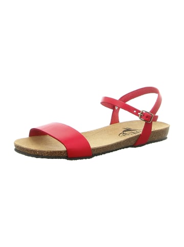 Plakton Sandalen in Rot