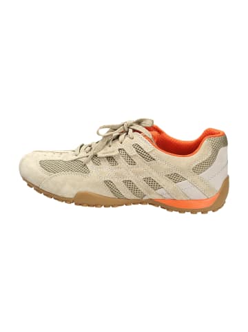 Geox Sportliche Schnürschuhe in Beige
