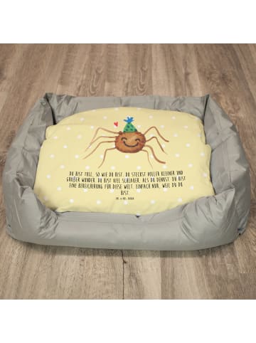 Mr. & Mrs. Panda Katzenkissen Spinne Agathe Party mit Spruch in Gelb Pastell