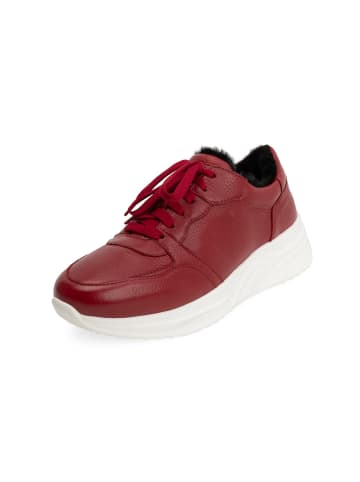 VITAFORM Hirschleder Sneaker in cranberry