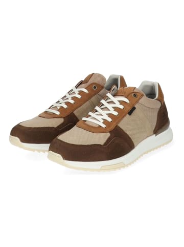 Bullboxer Sneaker in Cognac