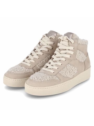 Paul Green High Sneaker in beige