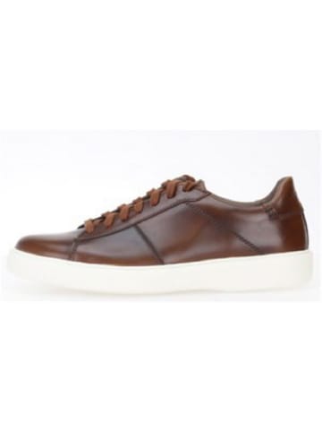 Gabor Sneaker in braun
