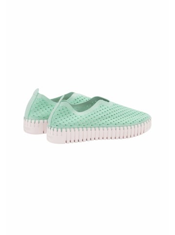 Ilse Jacobsen Sneaker TULIP3373 in Yucca