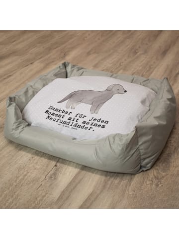 Mr. & Mrs. Panda Hundekissen Neufundländer Moment mit Spruch in Grau Pastell
