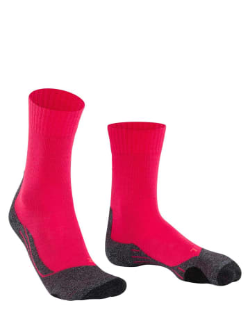 Falke Socken 1er Pack in Pink