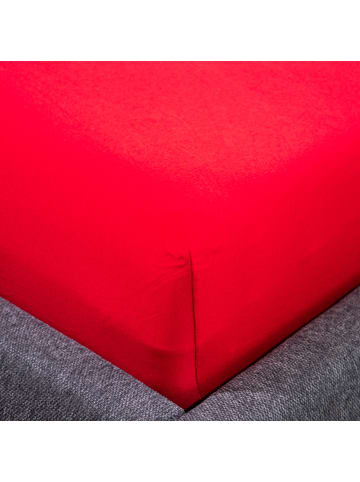 Traumschloss Exclusiv Edel-Jersey Spannbettlaken in rubin