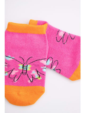 Coccodrillo Socken in bunt