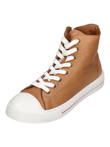 Andrea Conti Sneaker High 0067110-100 in braun