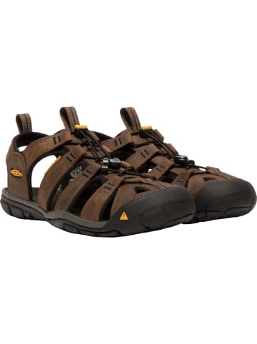 Keen Sandalen "CLEARWATER CNX LEATHER M" in Magnet/Schwarz