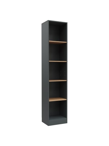 VCM Bücherregal Dilos 183 x 38 cm für Aktenordner in Anthrazit / Honig-Eiche