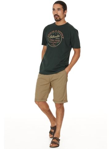 Cruz Shorts Gilchrest in 1138 Kelp