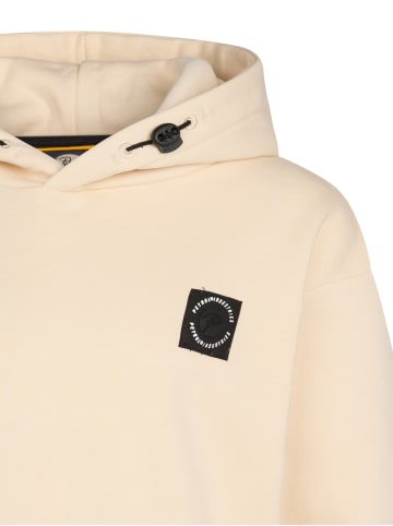Petrol Industries Rückenprint Hoodie Rainier in Gelb