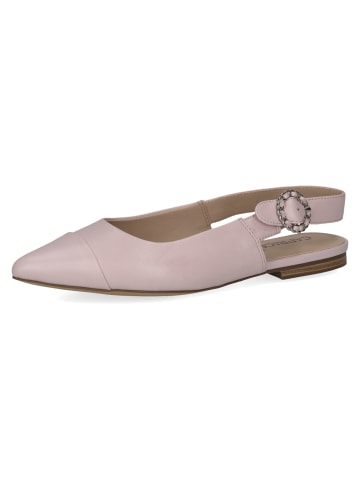 Caprice Ballerinas in Lila