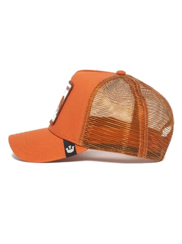 Goorin Bros. Cap in Wiener Dog