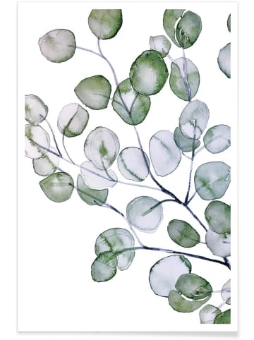 Juniqe Poster "Eucalyptus Watercolor" in Grün & Weiß