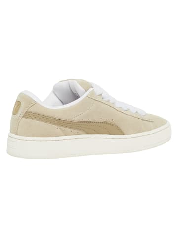 Puma Puma in putty/warm putty