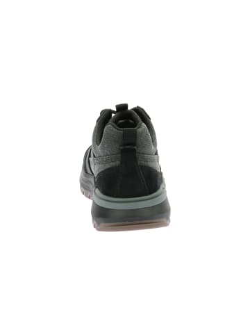 Caterpillar Ledersneaker Colorado Sneaker Lo Canvas Schwarz