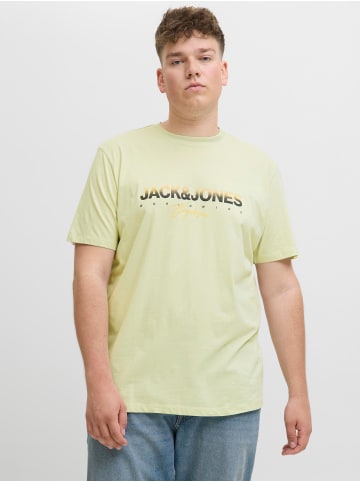 JACK & JONES PLUS T-shirt in Celadon Tint