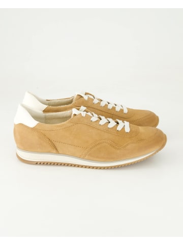 Paul Green Sneaker low in Braun