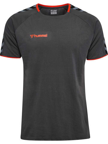 Hummel Hummel Hmlauthentic Multisport Herren in ASPHALT