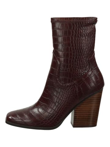 Steve Madden Stiefelette in Braun