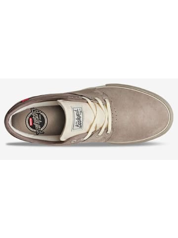 Globe Skaterschuhe Mahalo Taupe Antique