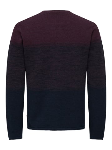 ONLY & SONS Strickpullover in Port Royale
